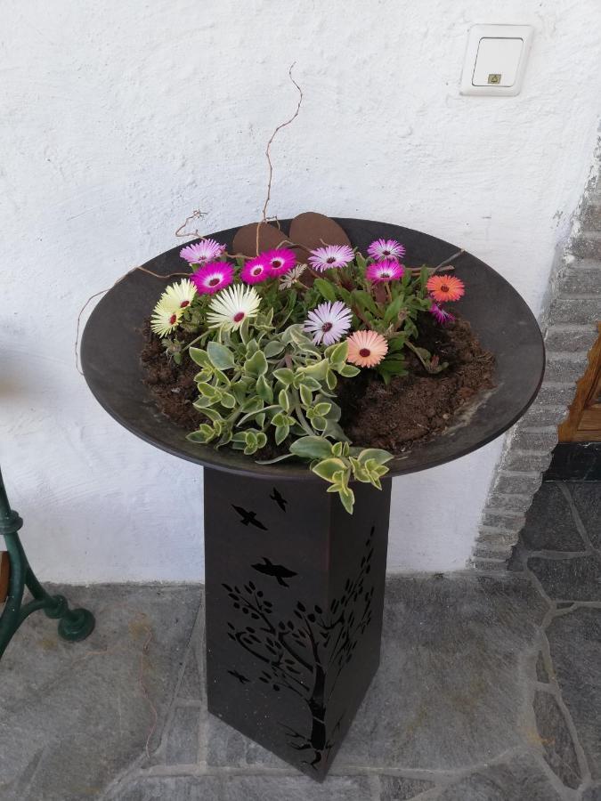 Fruehstueckspension Alpenrose Bed & Breakfast Iselsberg المظهر الخارجي الصورة