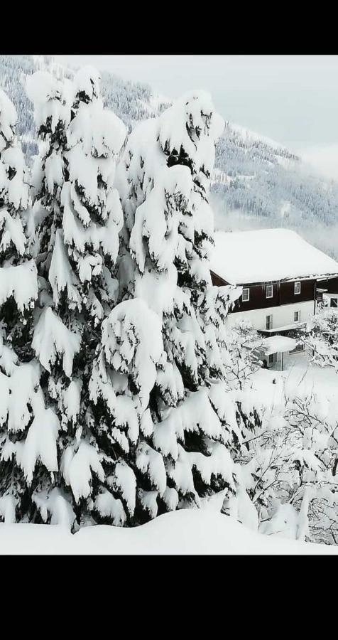 Fruehstueckspension Alpenrose Bed & Breakfast Iselsberg المظهر الخارجي الصورة