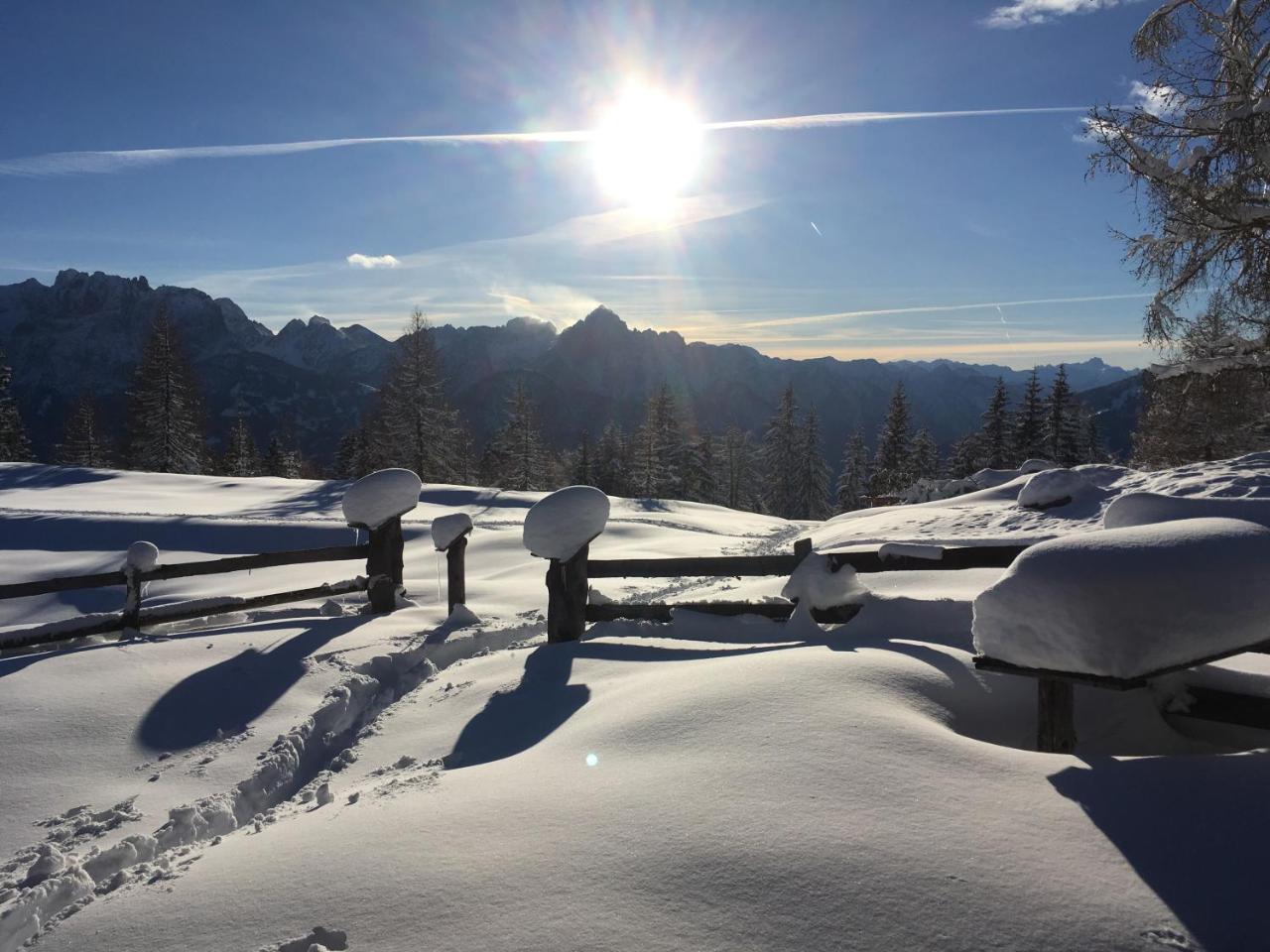 Fruehstueckspension Alpenrose Bed & Breakfast Iselsberg المظهر الخارجي الصورة