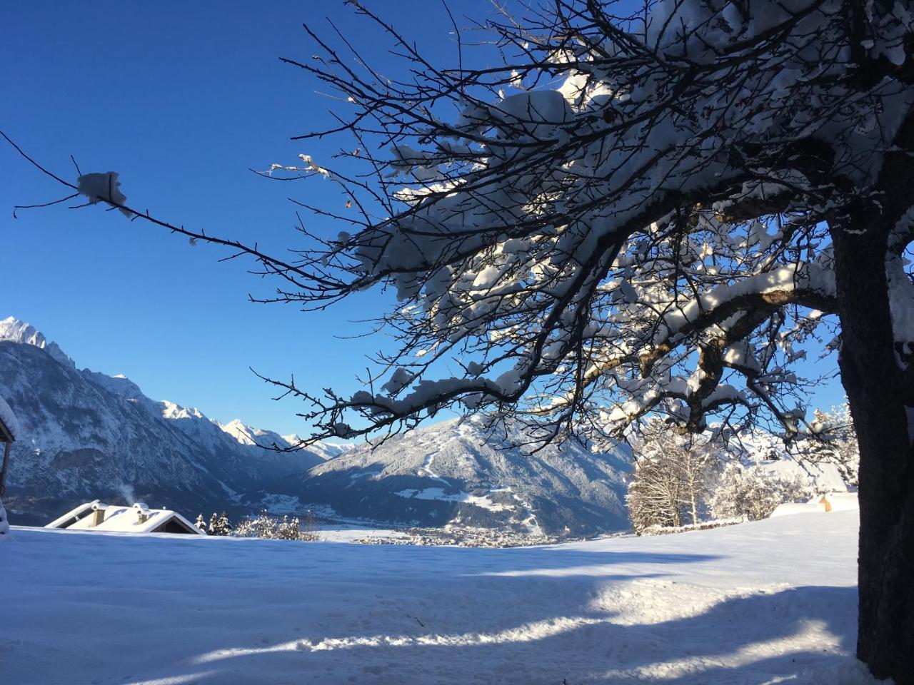 Fruehstueckspension Alpenrose Bed & Breakfast Iselsberg المظهر الخارجي الصورة